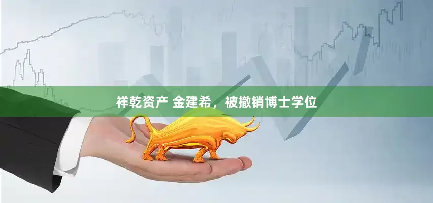 祥乾资产 金建希，被撤销博士学位