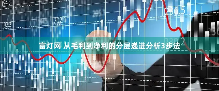 富灯网 从毛利到净利的分层递进分析3步法