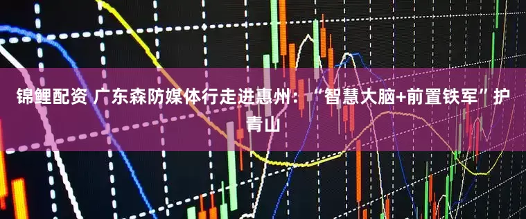 锦鲤配资 广东森防媒体行走进惠州：“智慧大脑+前置铁军”护青山