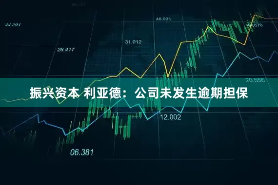 振兴资本 利亚德：公司未发生逾期担保