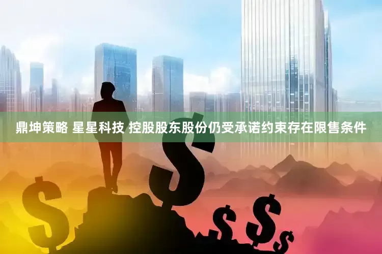 鼎坤策略 星星科技 控股股东股份仍受承诺约束存在限售条件